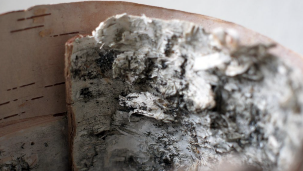 Birkenrinde_ein Naturmaterial